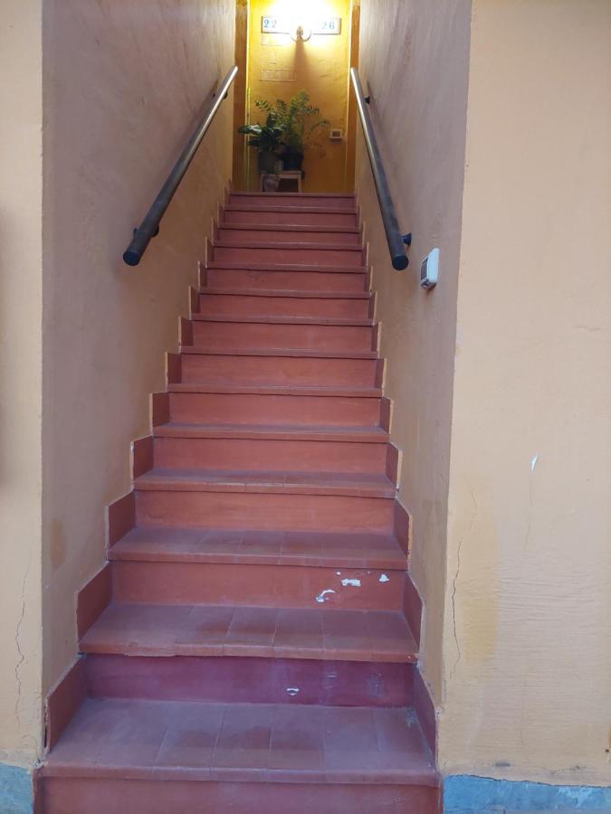 La Paloma Buena Esperanza Costa De Antigua Exterior foto